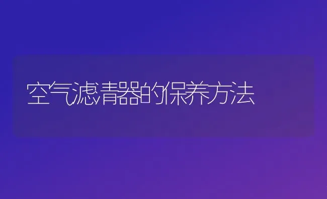 空气滤清器的保养方法 | 养殖技术大全