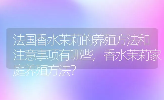法国香水茉莉的养殖方法和注意事项有哪些,香水茉莉家庭养殖方法？ | 养殖科普