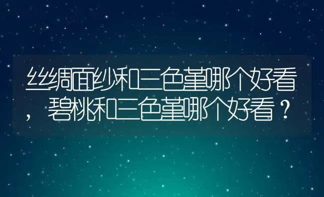 丝绸面纱和三色堇哪个好看,碧桃和三色堇哪个好看？ | 养殖学堂