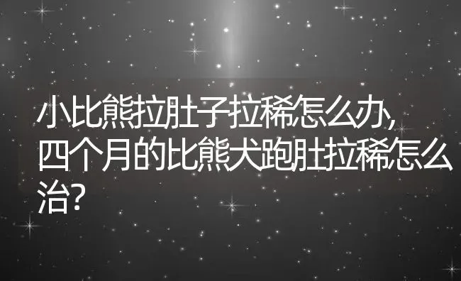 小比熊拉肚子拉稀怎么办,四个月的比熊犬跑肚拉稀怎么治？ | 养殖学堂