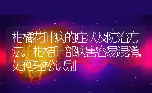 柑橘花叶病的症状及防治方法,柑桔叶部病害容易混淆，如何轻松识别 | 养殖学堂