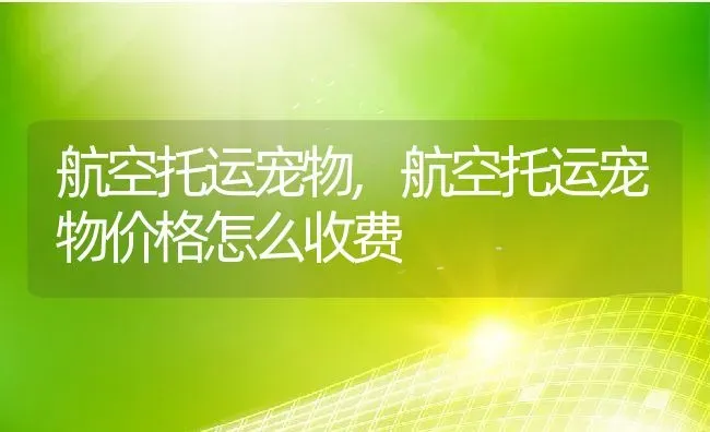 航空托运宠物,航空托运宠物价格怎么收费 | 养殖科普