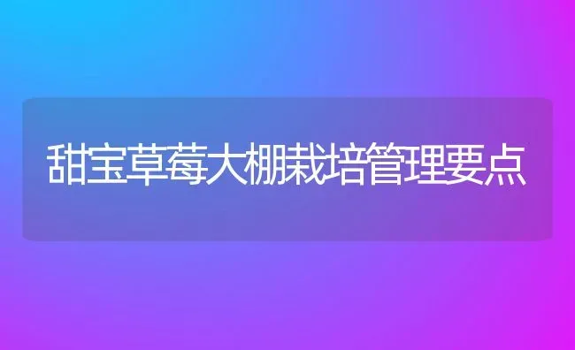 甜宝草莓大棚栽培管理要点 | 养殖学堂