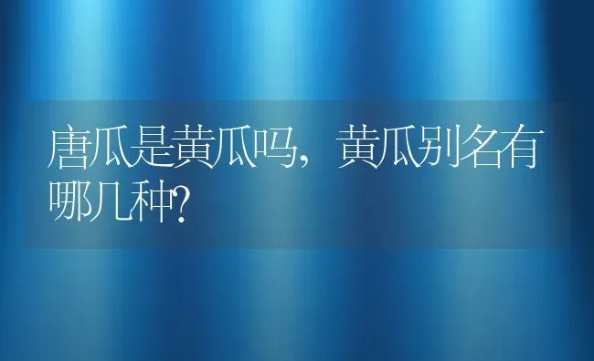 唐瓜是黄瓜吗,黄瓜别名有哪几种？ | 养殖科普