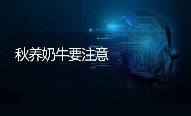 秋养奶牛要注意 | 养殖知识