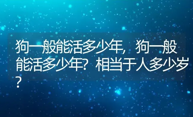 狗一般能活多少年,狗一般能活多少年?相当于人多少岁? | 养殖资料