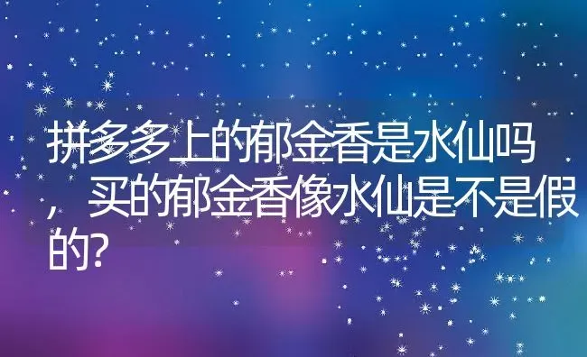 拼多多上的郁金香是水仙吗,买的郁金香像水仙是不是假的？ | 养殖学堂