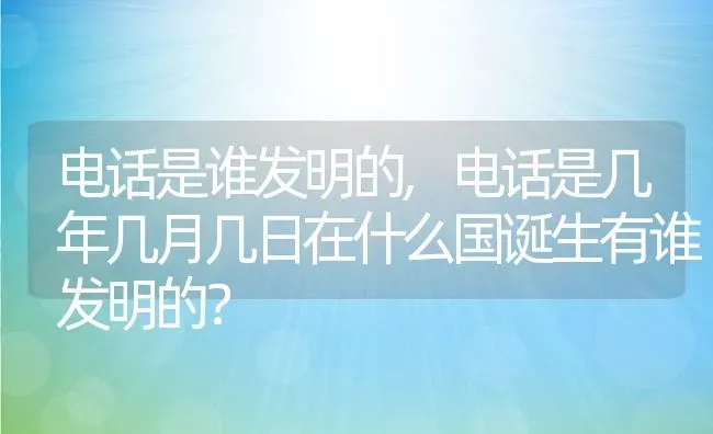 电话是谁发明的,电话是几年几月几日在什么国诞生有谁发明的？ | 养殖科普