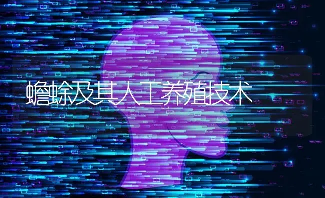 蟾蜍及其人工养殖技术 | 养殖知识