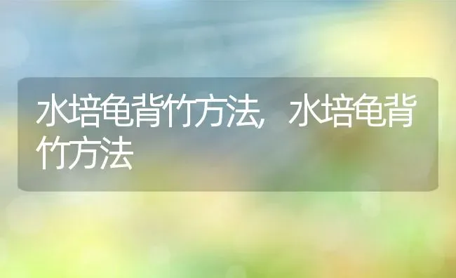 水培龟背竹方法,水培龟背竹方法 | 养殖科普