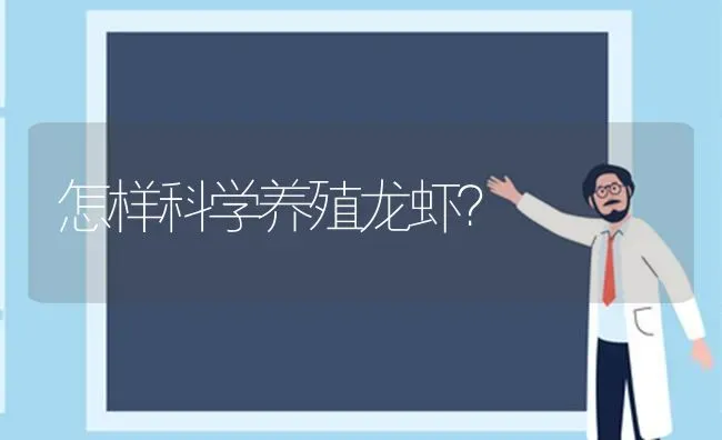 怎样科学养殖龙虾? | 养殖技术大全