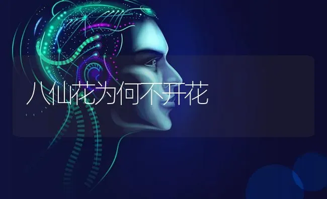 八仙花为何不开花 | 养殖技术大全