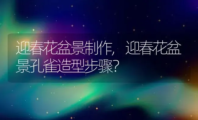 一般怀孕几个月生,一般怀孕几个月生小孩 | 养殖科普