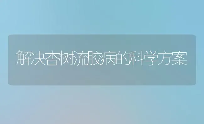 解决杏树流胶病的科学方案 | 养殖技术大全