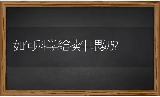 如何科学给犊牛喂奶? | 养殖技术大全