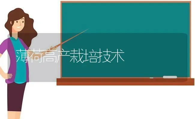 薄荷高产栽培技术 | 养殖技术大全