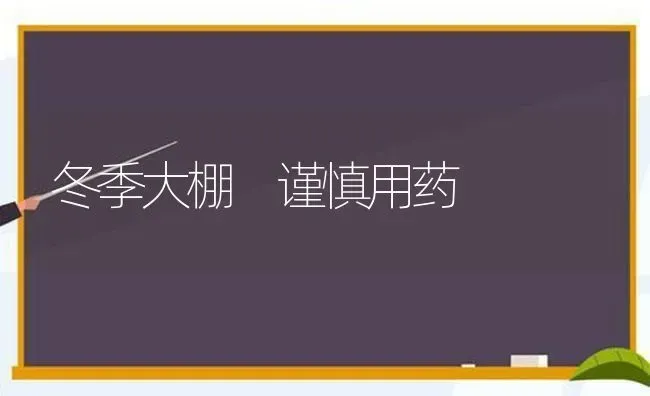 冬季大棚 谨慎用药 | 养殖知识