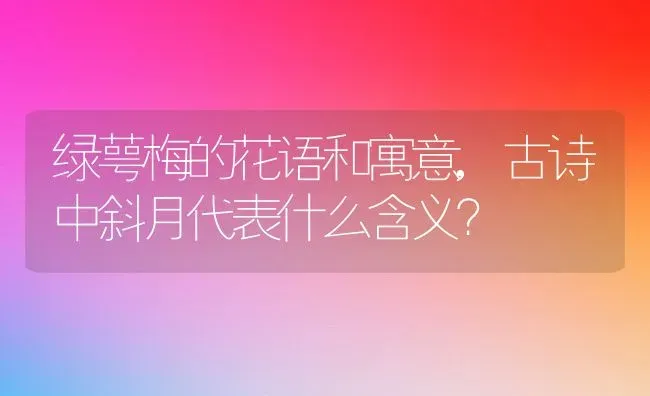 绿萼梅的花语和寓意,古诗中斜月代表什么含义？ | 养殖科普