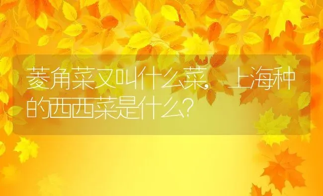 锯末能不能直接拌土养花,锯末可以养花吗，土和锯末混合能养花吗？ | 养殖科普