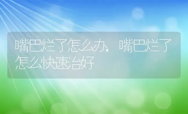 嘴巴烂了怎么办,嘴巴烂了怎么快速治好 | 养殖资料