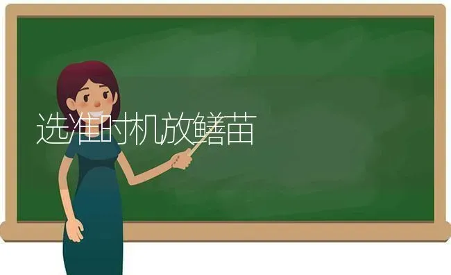 选准时机放鳝苗 | 养殖知识