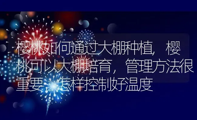 樱桃如何通过大棚种植,樱桃可以大棚培育，管理方法很重要，怎样控制好温度 | 养殖学堂