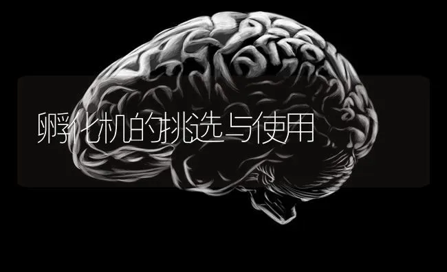 孵化机的挑选与使用 | 养殖技术大全