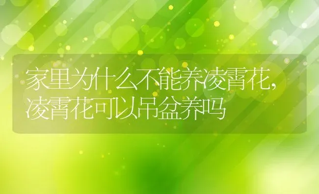 家里为什么不能养凌霄花,凌霄花可以吊盆养吗 | 养殖学堂
