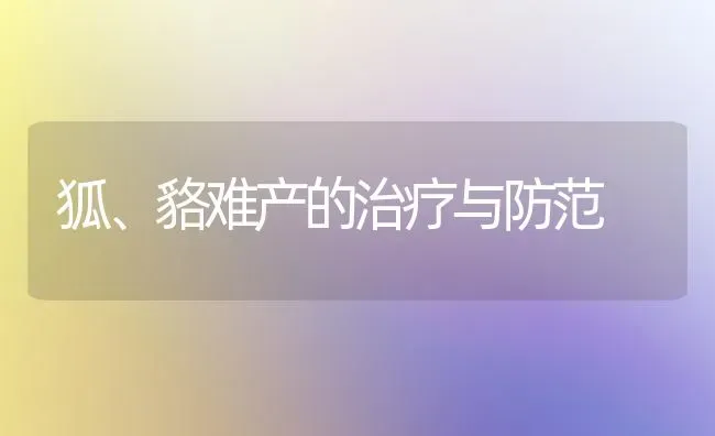狐、貉难产的治疗与防范 | 养殖知识