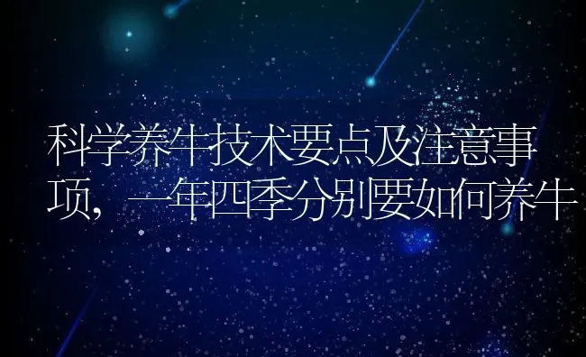 科学养牛技术要点及注意事项,一年四季分别要如何养牛 | 养殖学堂