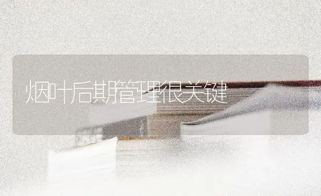 烟叶后期管理很关键 | 养殖知识