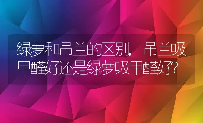 绿萝和吊兰的区别,吊兰吸甲醛好还是绿萝吸甲醛好？ | 养殖科普