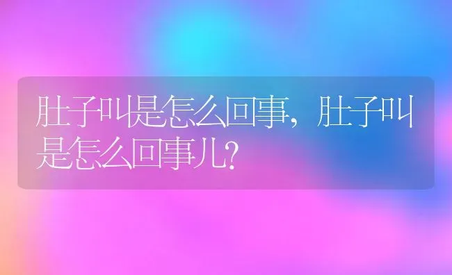 肚子叫是怎么回事,肚子叫是怎么回事儿? | 养殖资料