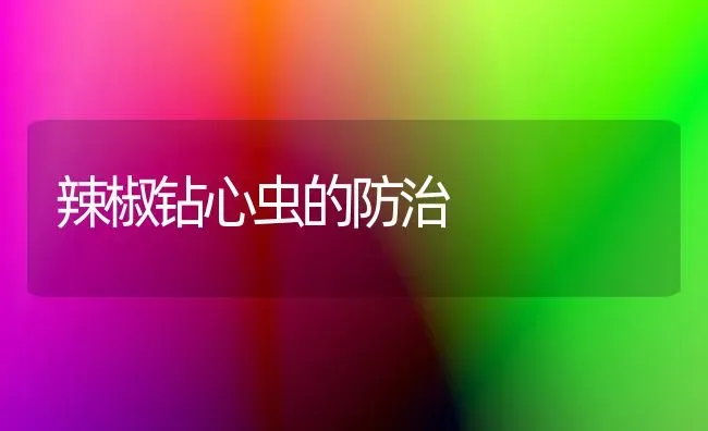 辣椒钻心虫的防治 | 养殖知识