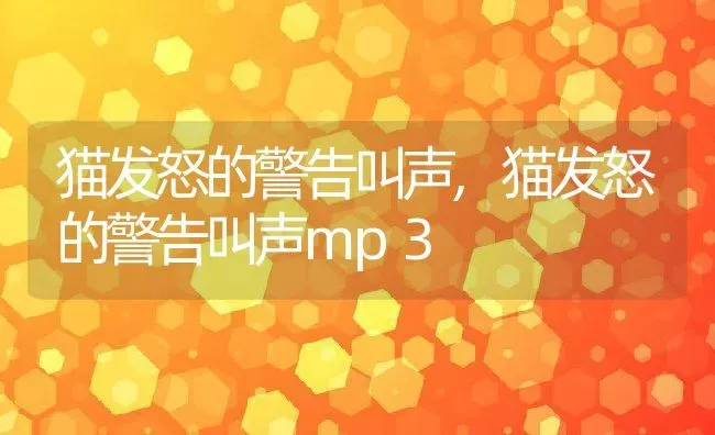 猫发怒的警告叫声,猫发怒的警告叫声mp3 | 养殖科普