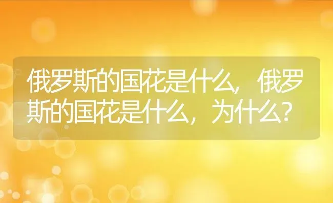 俄罗斯的国花是什么,俄罗斯的国花是什么，为什么？ | 养殖科普