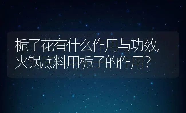 栀子花有什么作用与功效,火锅底料用栀子的作用？ | 养殖学堂