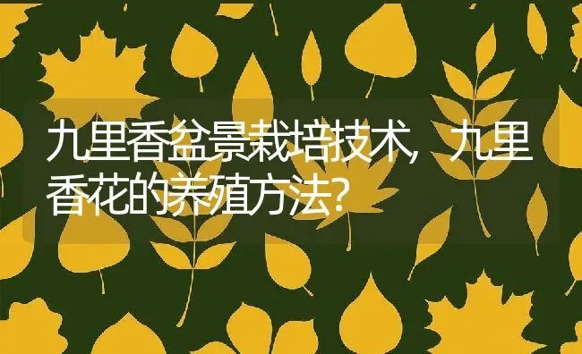 九里香盆景栽培技术,九里香花的养殖方法？ | 养殖科普