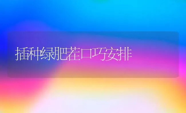 插种绿肥茬口巧安排 | 养殖知识