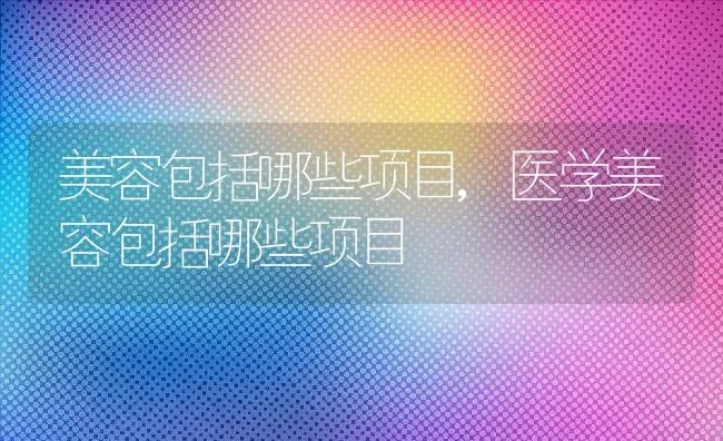 美容包括哪些项目,医学美容包括哪些项目 | 养殖资料