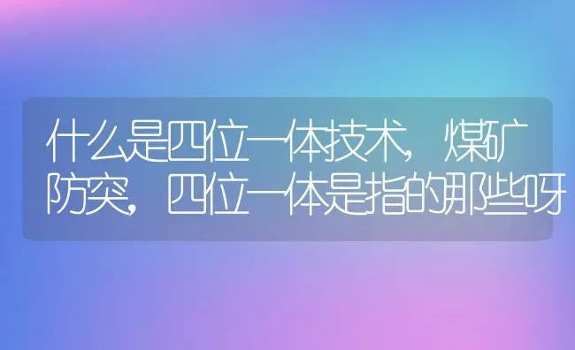 红薯和地瓜的区别,红薯是地瓜吗 | 养殖学堂