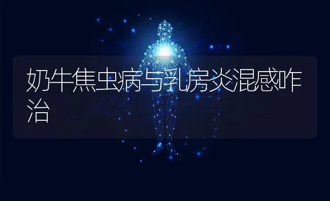 奶牛焦虫病与乳房炎混感咋治 | 养殖技术大全