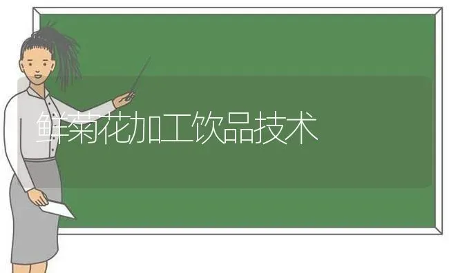 鲜菊花加工饮品技术 | 养殖技术大全