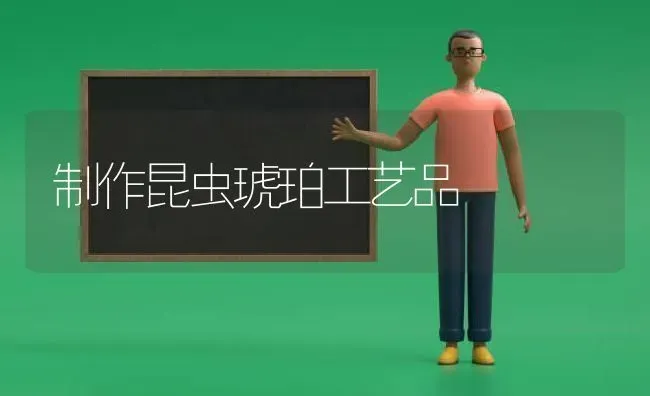 制作昆虫琥珀工艺品 | 养殖技术大全