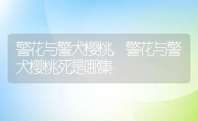 警花与警犬樱桃,警花与警犬樱桃死是哪集 | 养殖科普