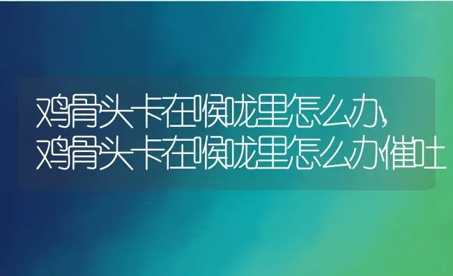 鸡骨头卡在喉咙里怎么办,鸡骨头卡在喉咙里怎么办催吐 | 养殖资料