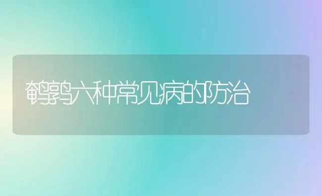 鹌鹑六种常见病的防治 | 养殖知识