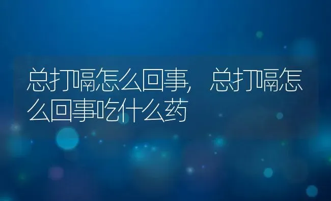 总打嗝怎么回事,总打嗝怎么回事吃什么药 | 养殖资料