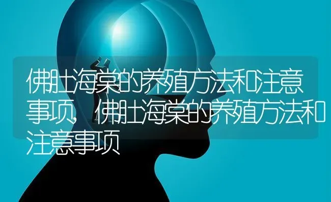 佛肚海棠的养殖方法和注意事项,佛肚海棠的养殖方法和注意事项 | 养殖科普