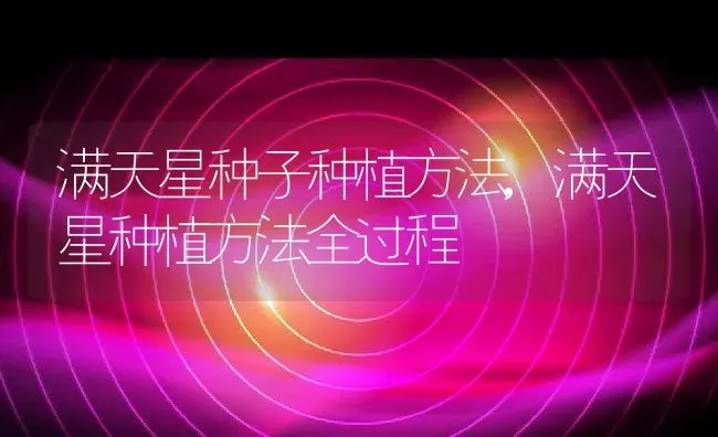 满天星种子种植方法,满天星种植方法全过程 | 养殖学堂